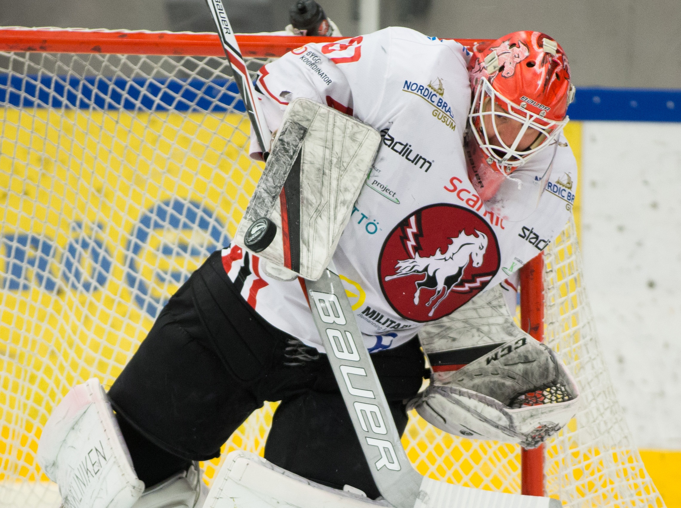 Inför: Vita hästen - Linköping HC