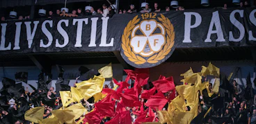 Brynasfans