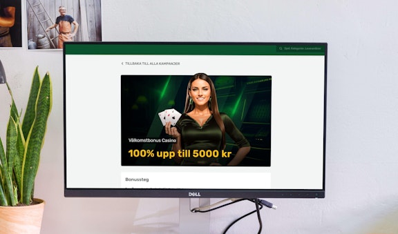 Campobet nya bonusar november 2024