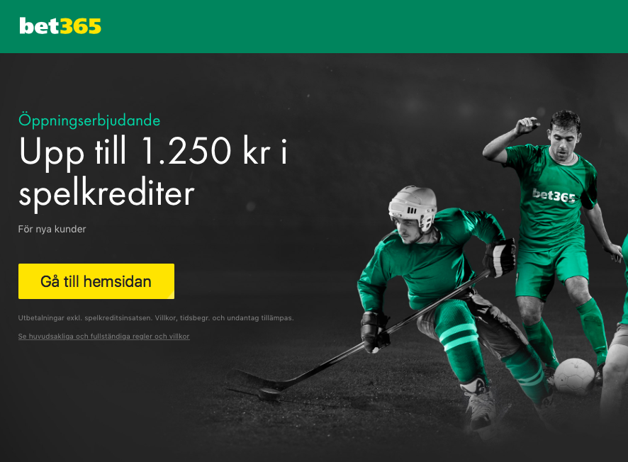 Gå vidare till hemsidan