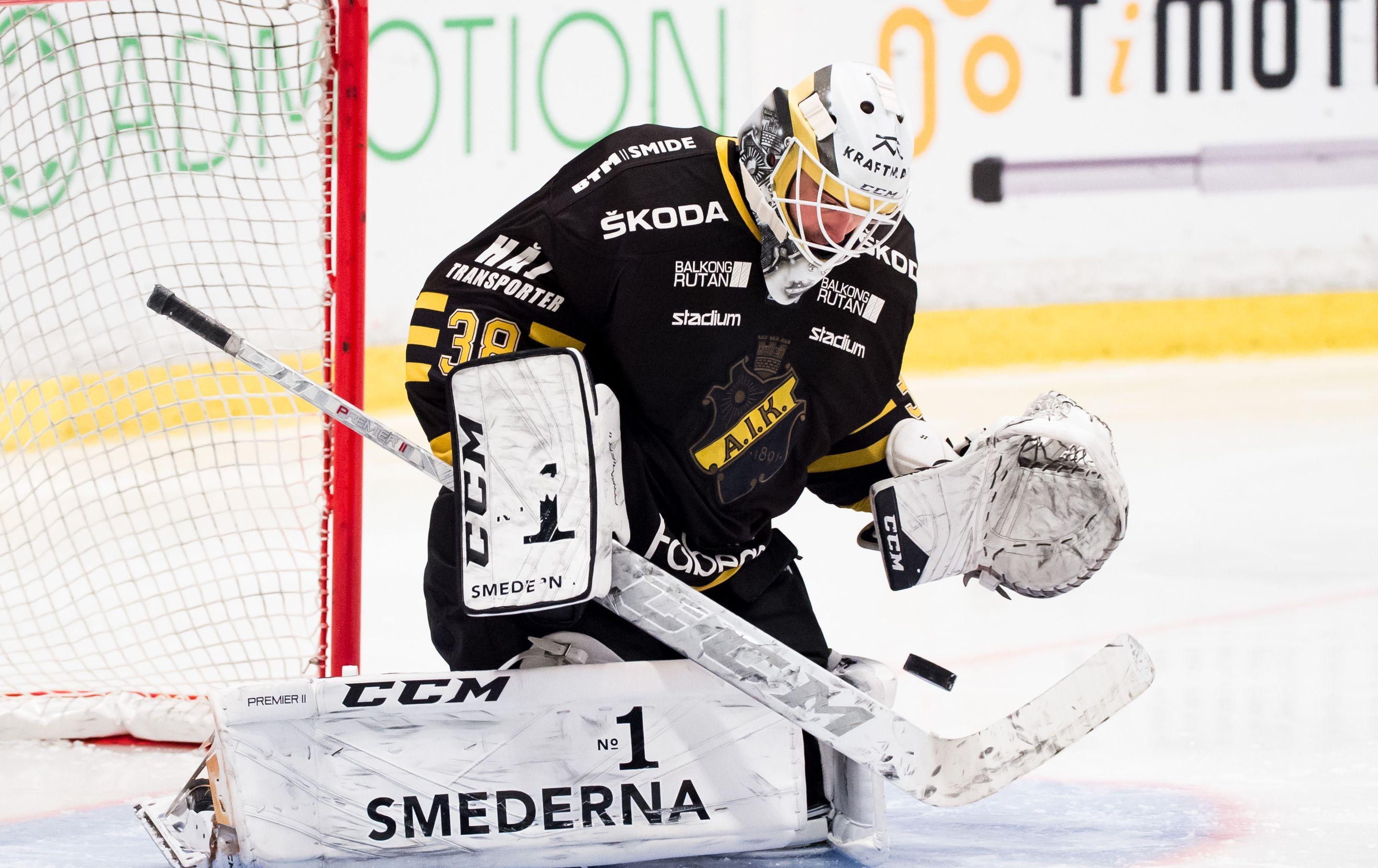 Dragskott rankar de tio bästa målvakterna i HockeyAllsvenskan - plats 1-5