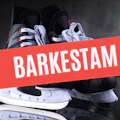 Barkestams blogg