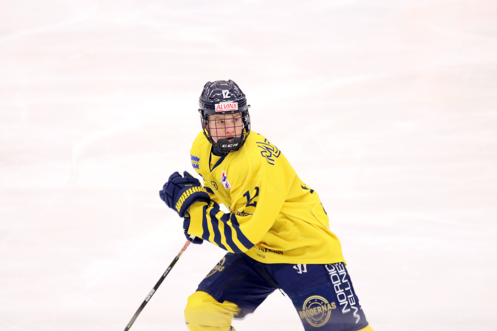 De fem yngsta lagen i HockeyEttan