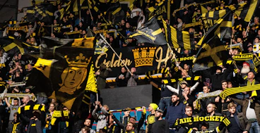 AIK Hockeyfans