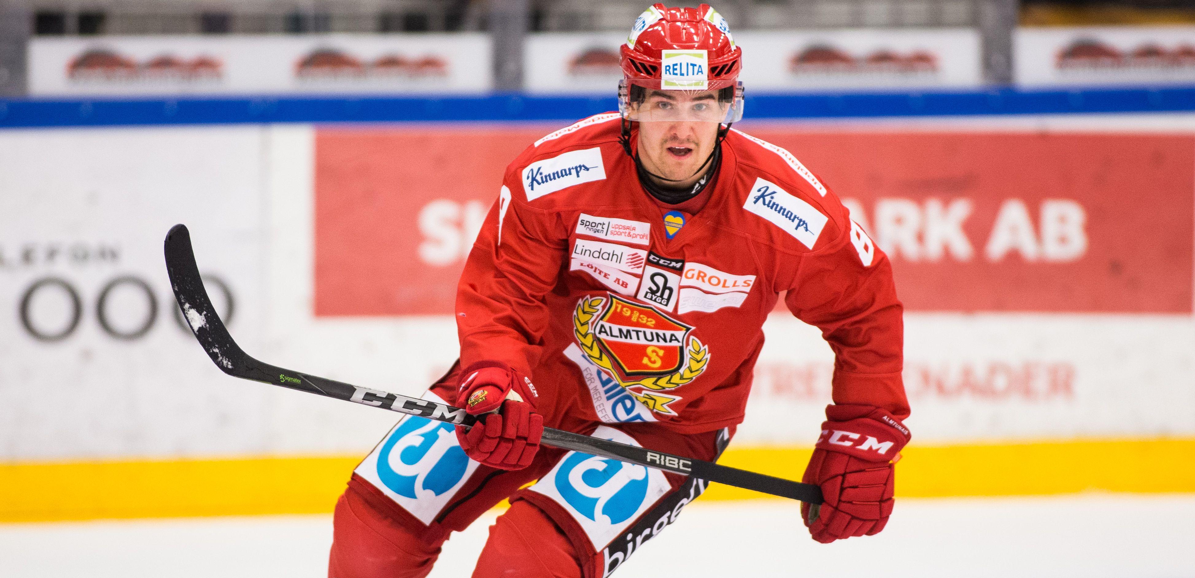 Hockeyettans fem bästa backar