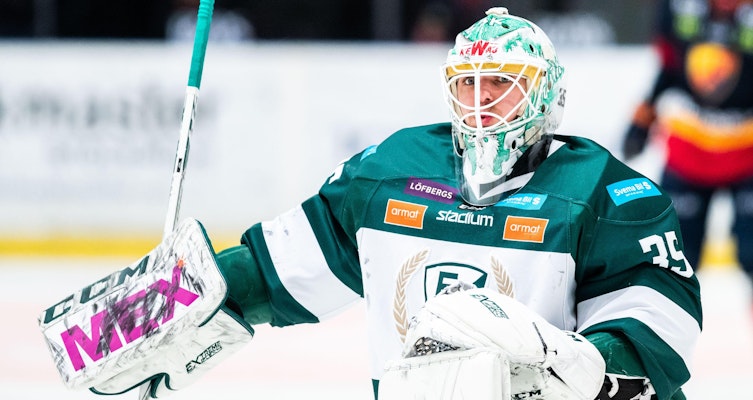 Namnkunnig målvakt till Modo