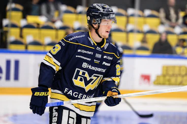 Ake Stakkestad i HV71 trojan