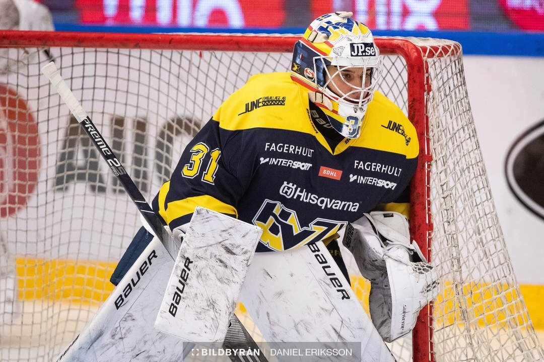 SDHL: November Review - can anyone beat HV71?