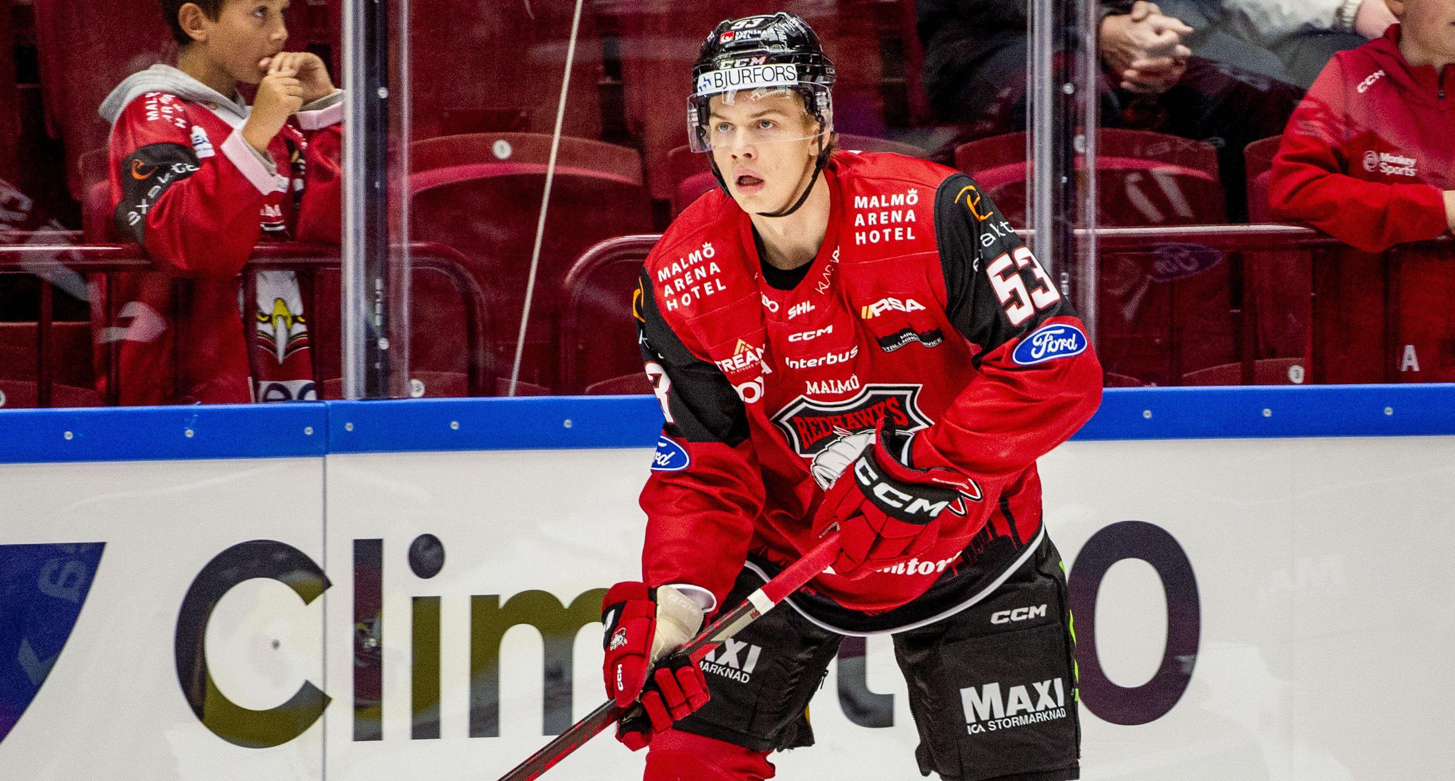 Forward med SHL-meriter till det allsvenska laget