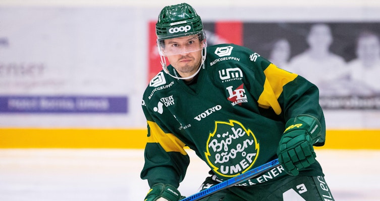 Björklöven och Timrå är de två främsta SHL-kandidaterna - enligt spelbolaget