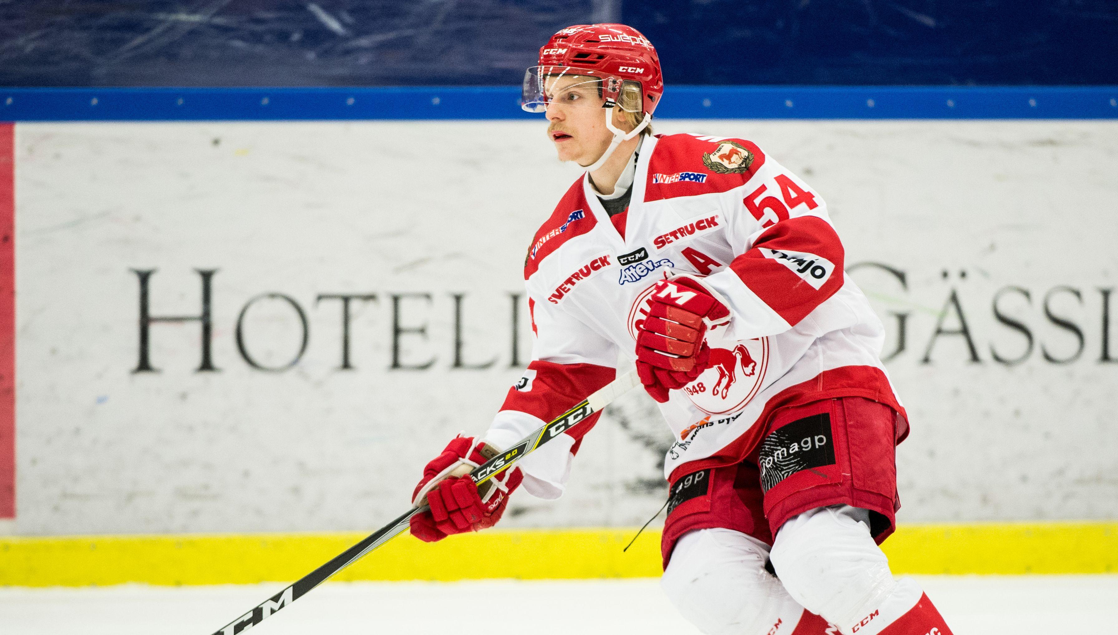 Back med allsvenska meriter till Hockeyettan-laget