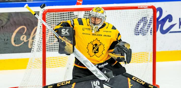 Alexander Hellnemo FOTO Suvad Mrkonjic