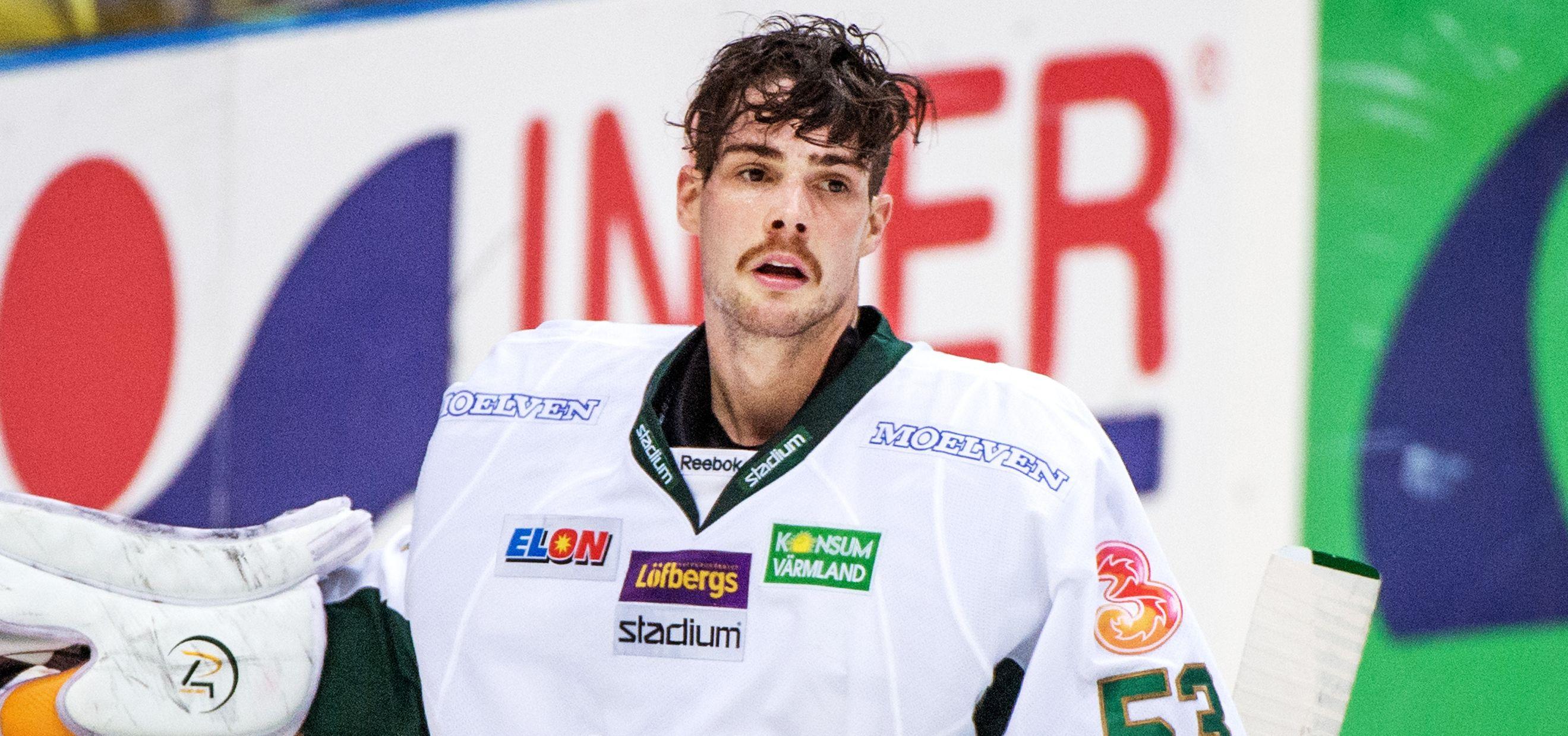 Alexander Salak är tillbaka i svensk hockey