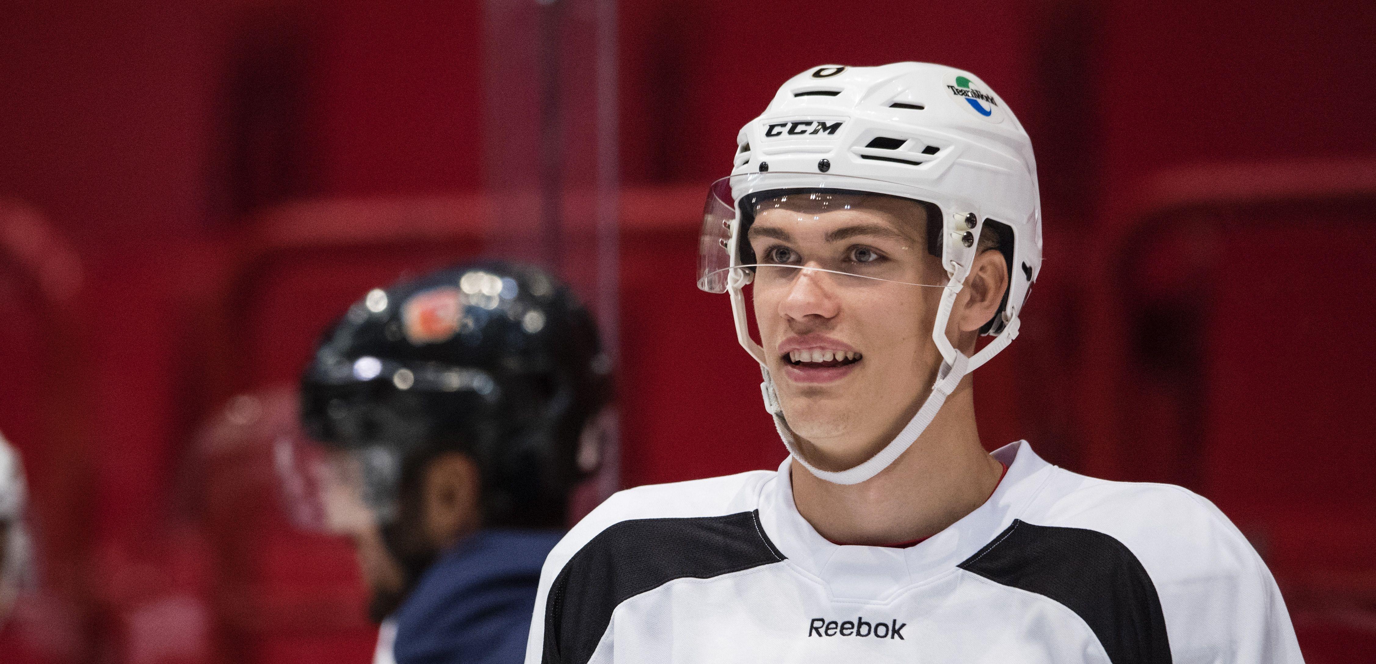 Ytterligare en NHL-meriterad spelare till HockeyAllsvenskan