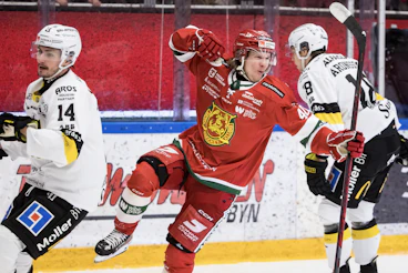Anton Heikkinen