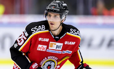 Anton Hedman