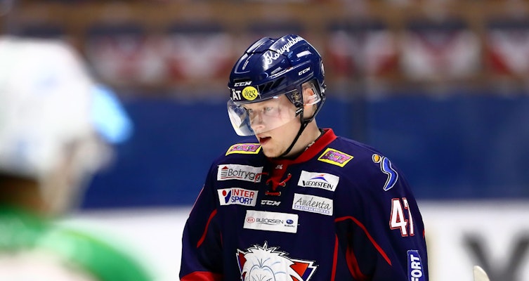 Den AHL-meriterade backen förstärker SHL-laget