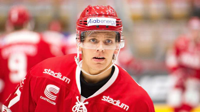 Anton Wedin