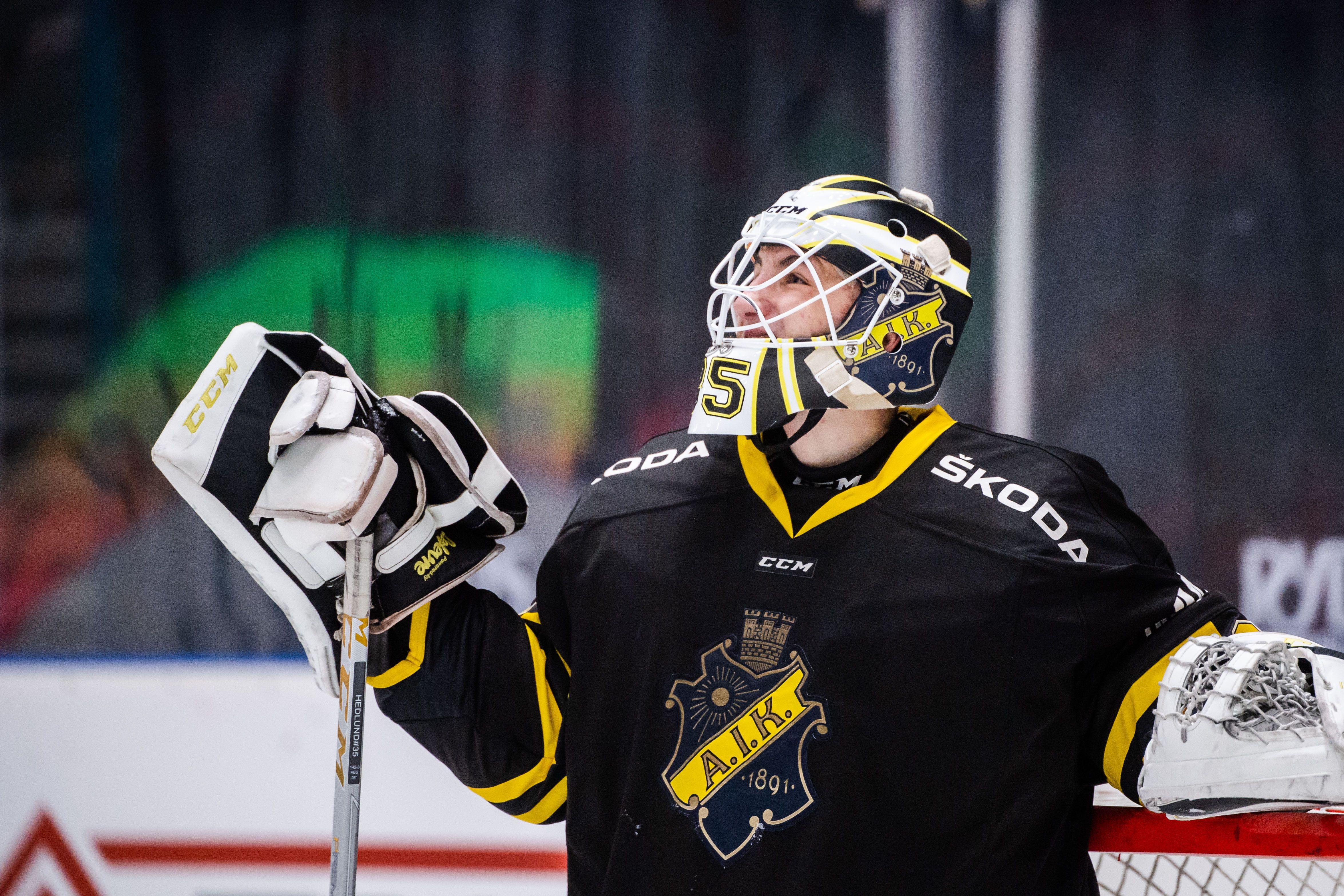 Trio med allsvenska meriter till Hockeyettan-laget