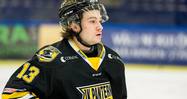 Back med allsvenska meriter till Hockeyettan-laget