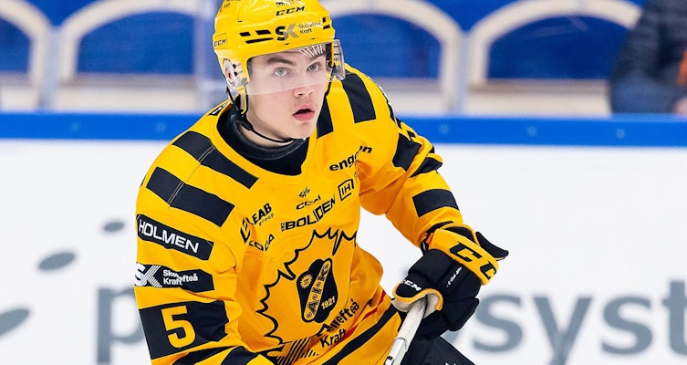 10 individuella prestationer som stack ut i grundserien