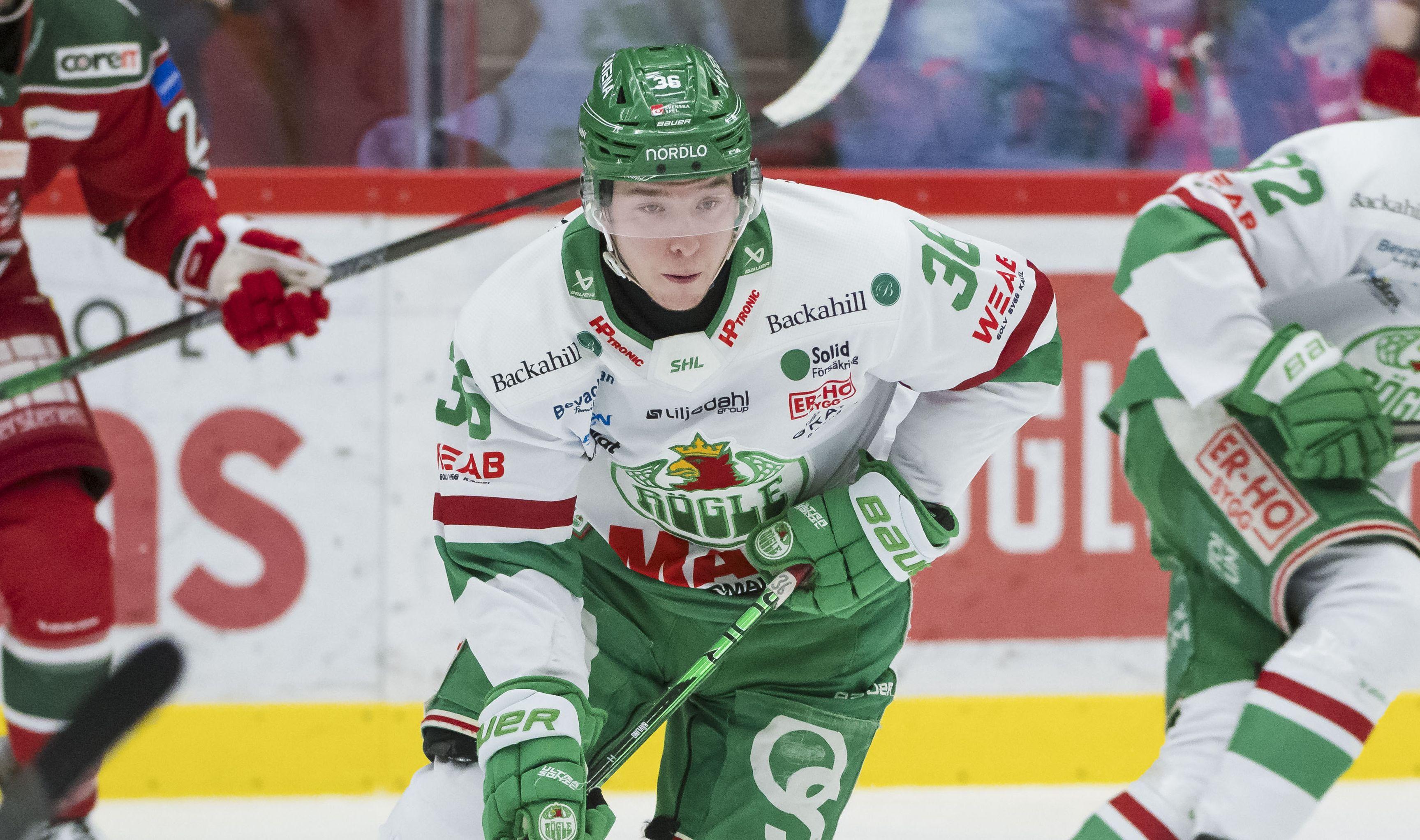 Tvillingarna med ett förflutet i Rögle uppges hamna i Hockeyettan