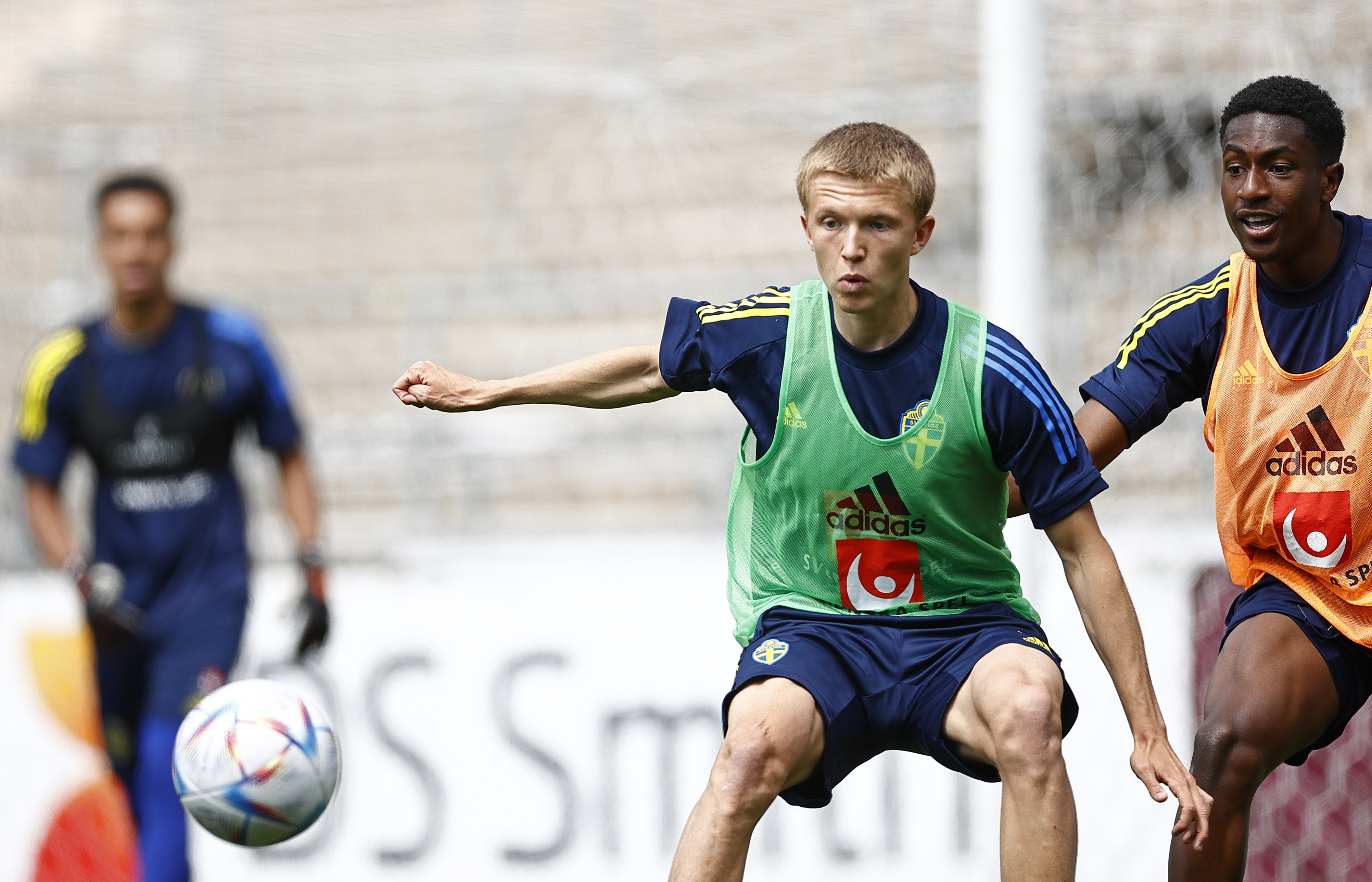 Allsvenskt intresse kring Strannegård