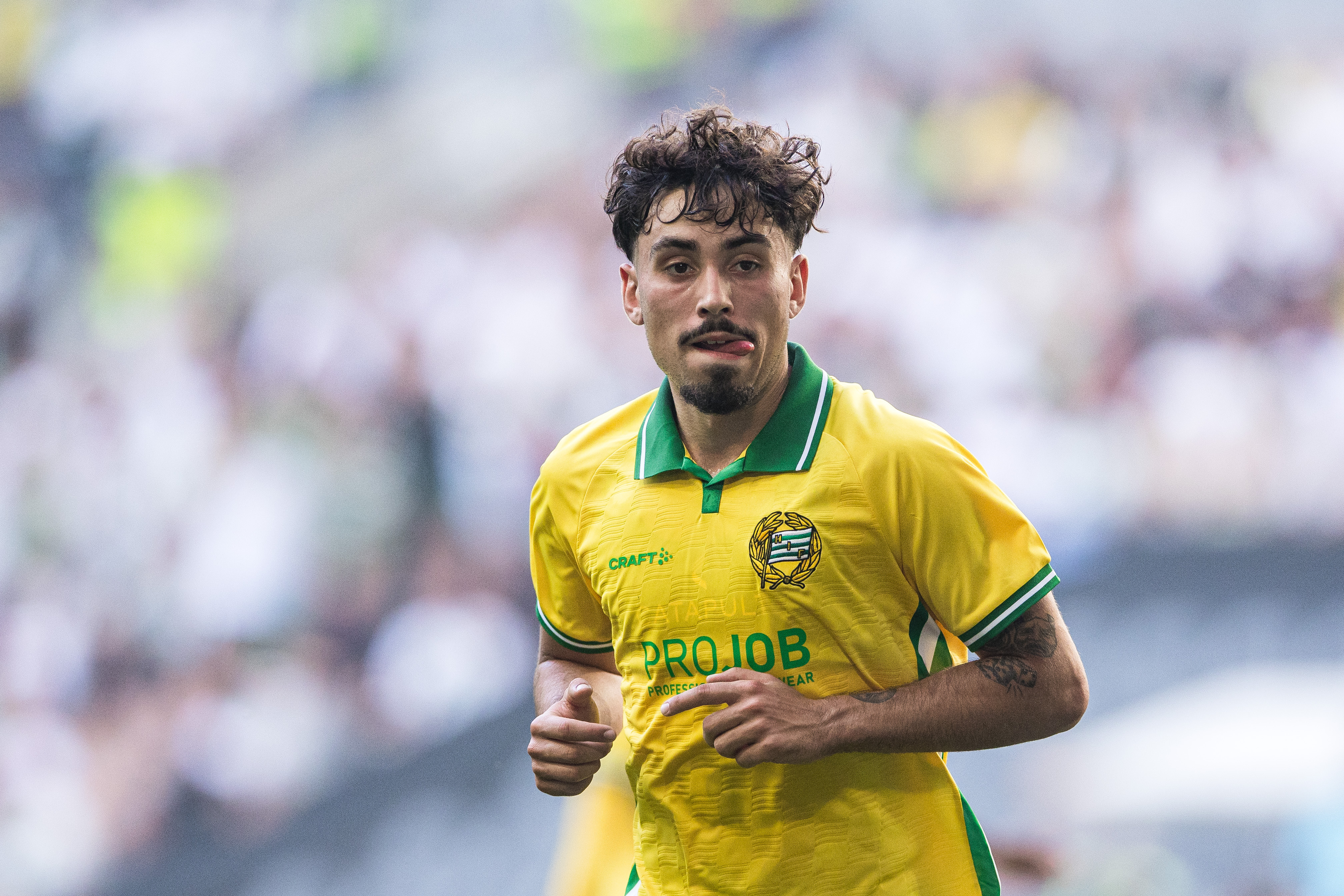 Celtic budar på Tounetki