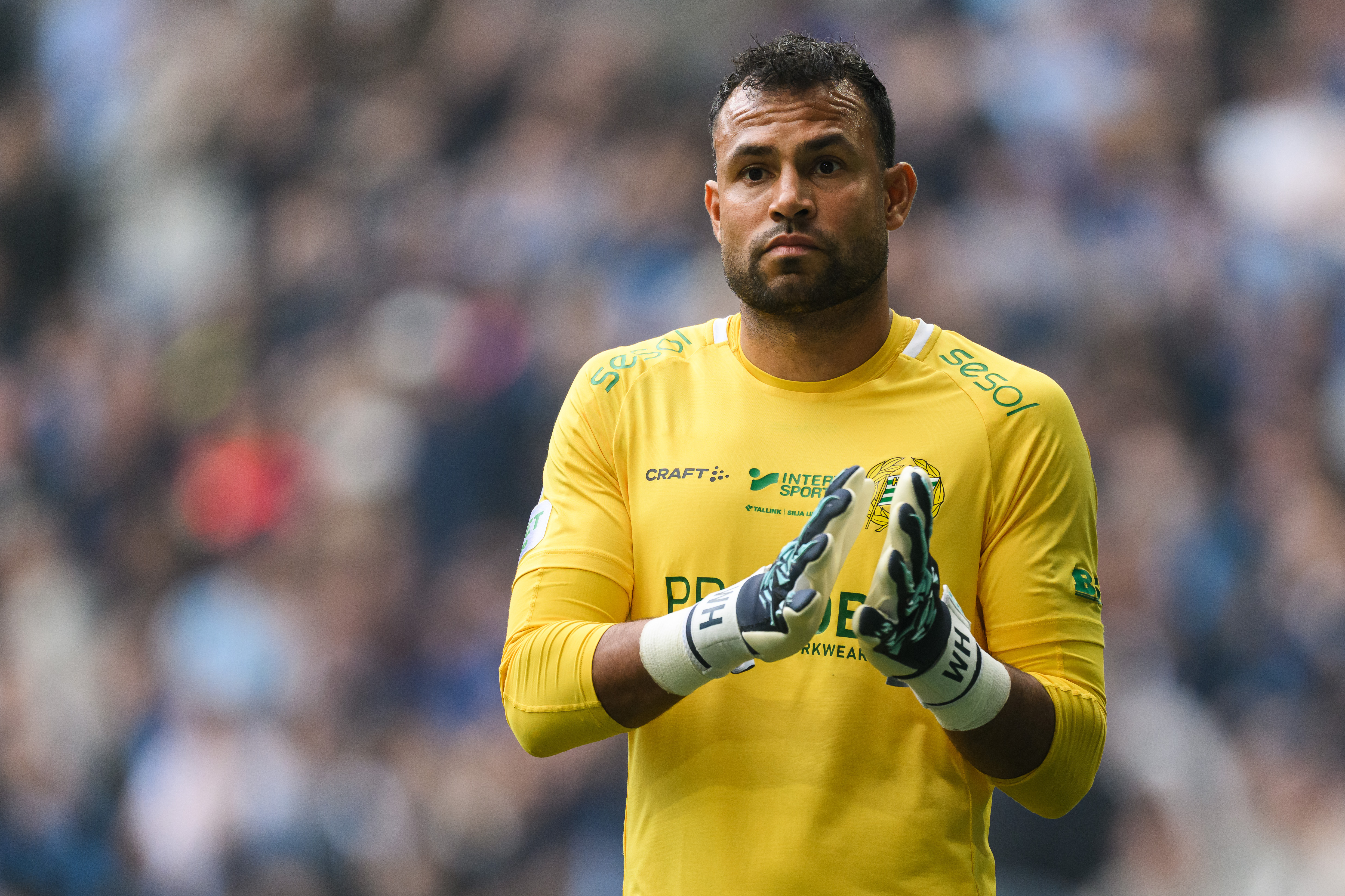 Saudiskt intresse kring Warner Hahn