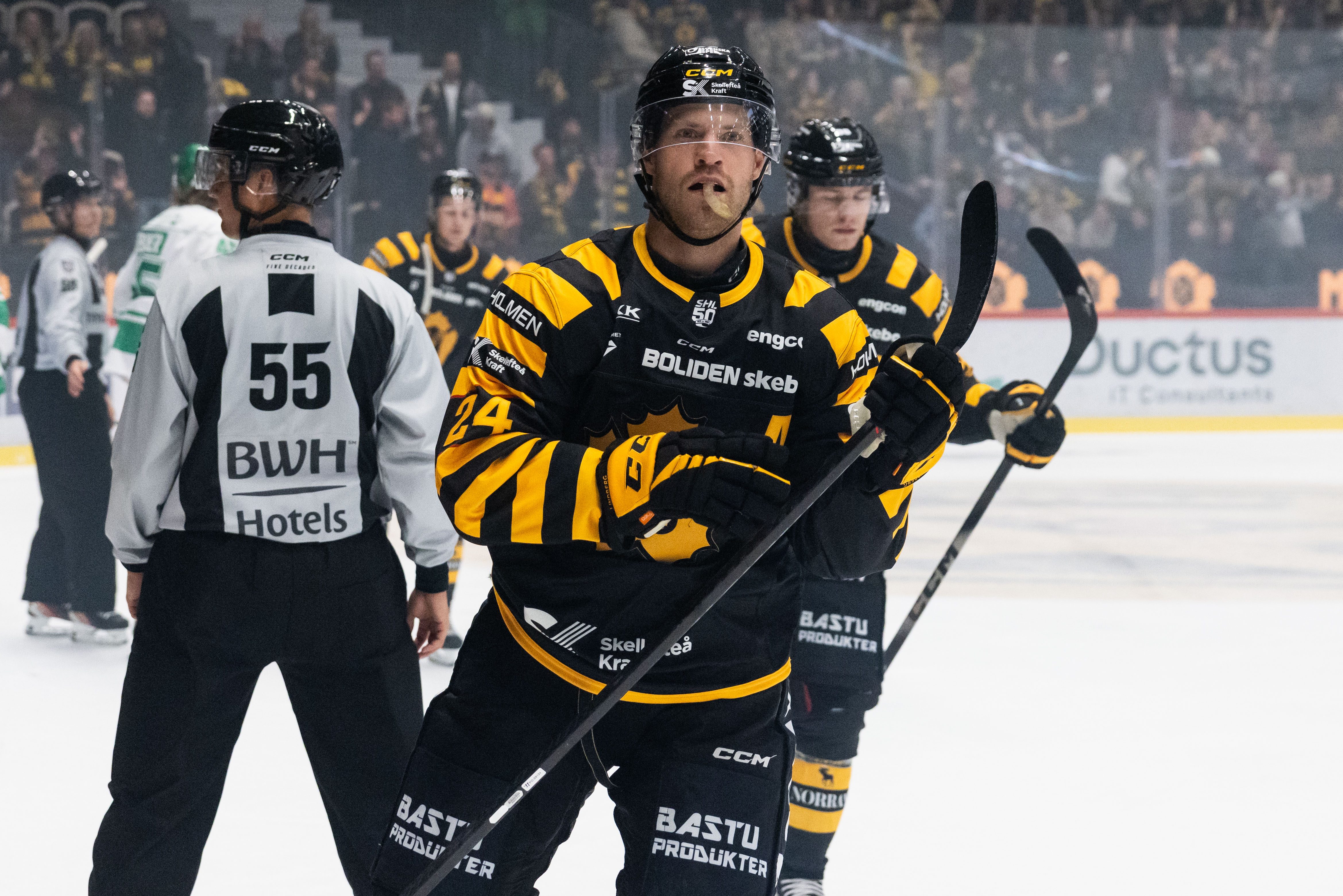 SHL i periodpaus: Sportbloggare utser ligans 15 bästa spelare - (Del 3)