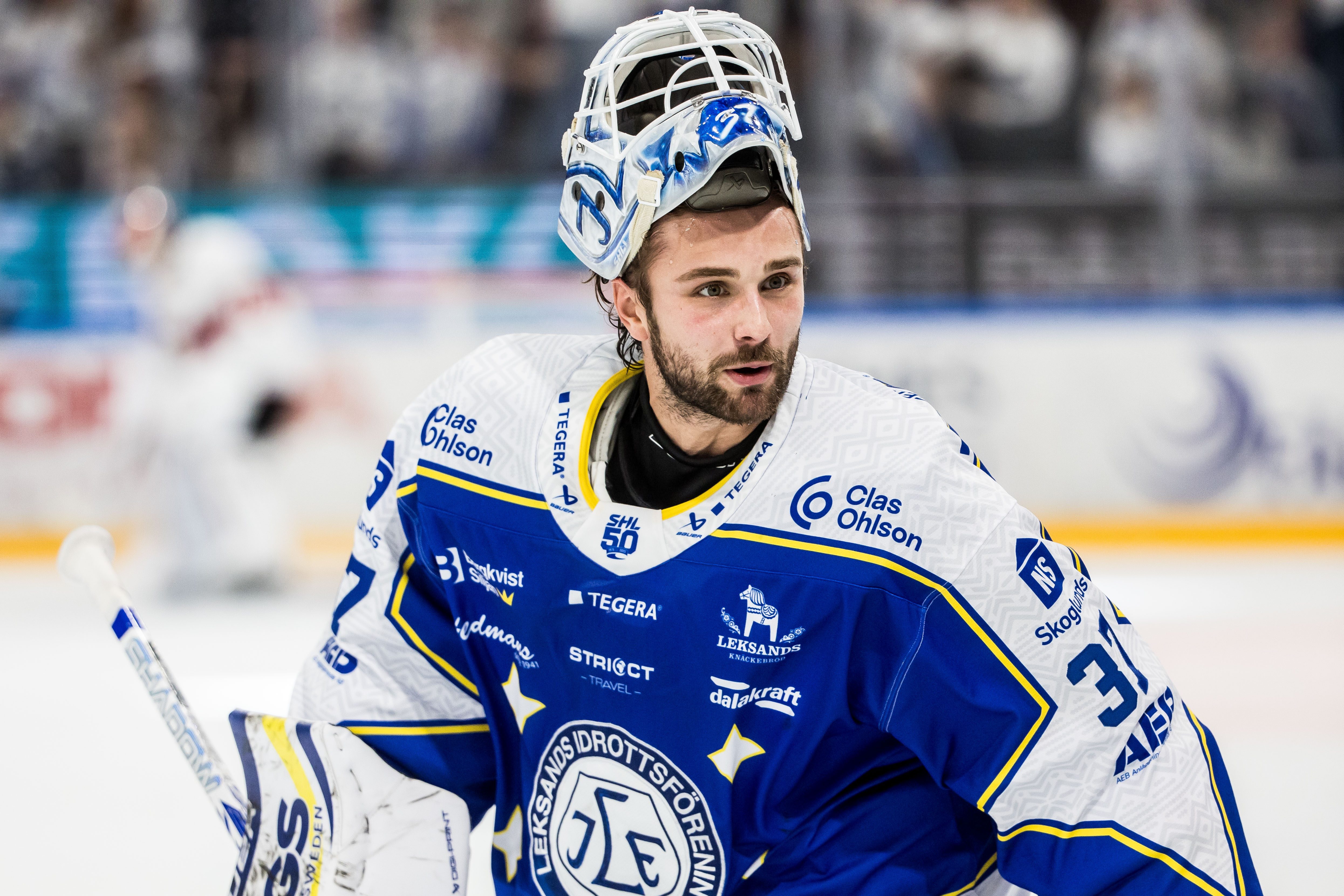 Sportbloggare utser: veckans SHL-lag (v.44)