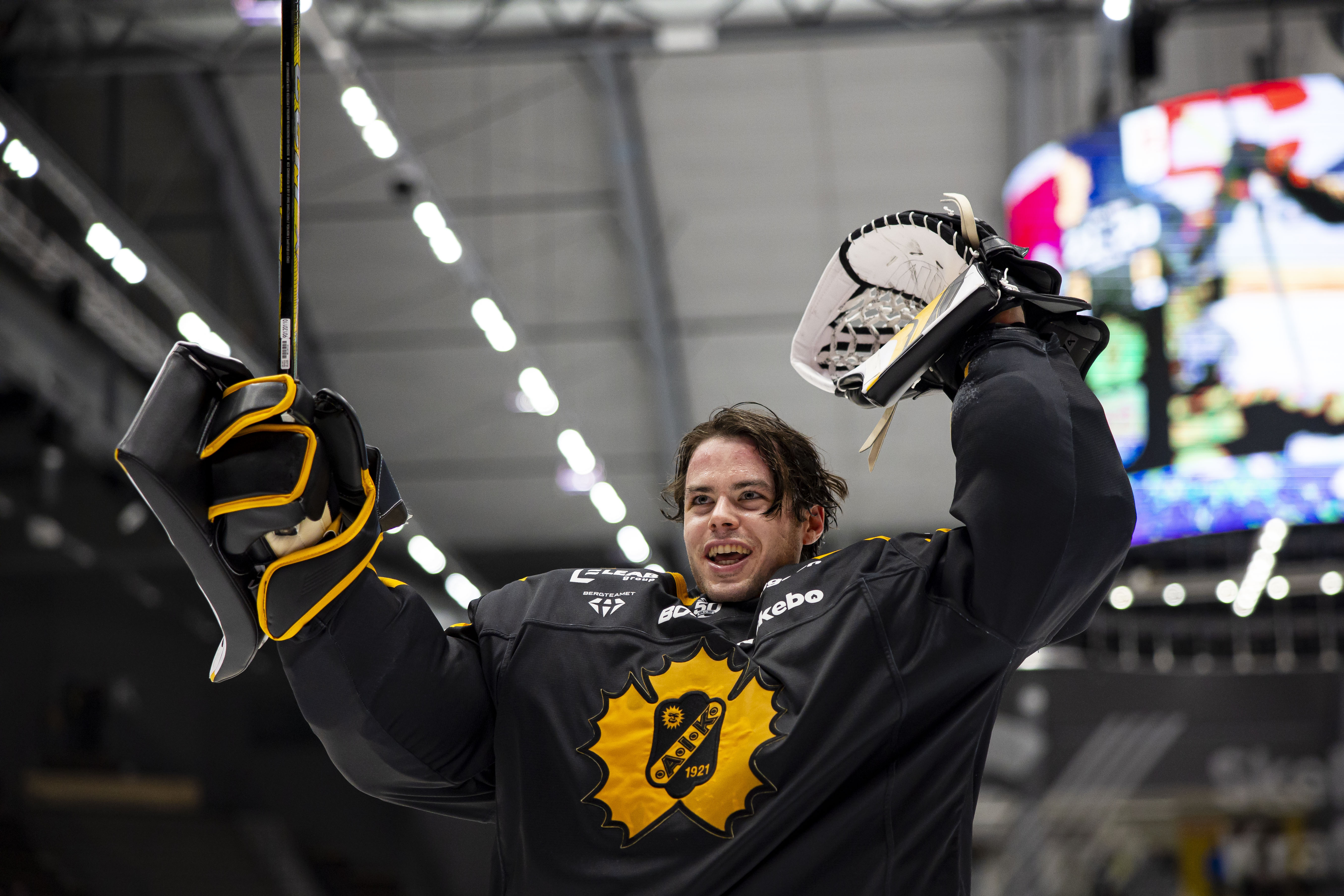 SHL i halvtid: Sportbloggare rankar seriens 10 bästa nyförvärv