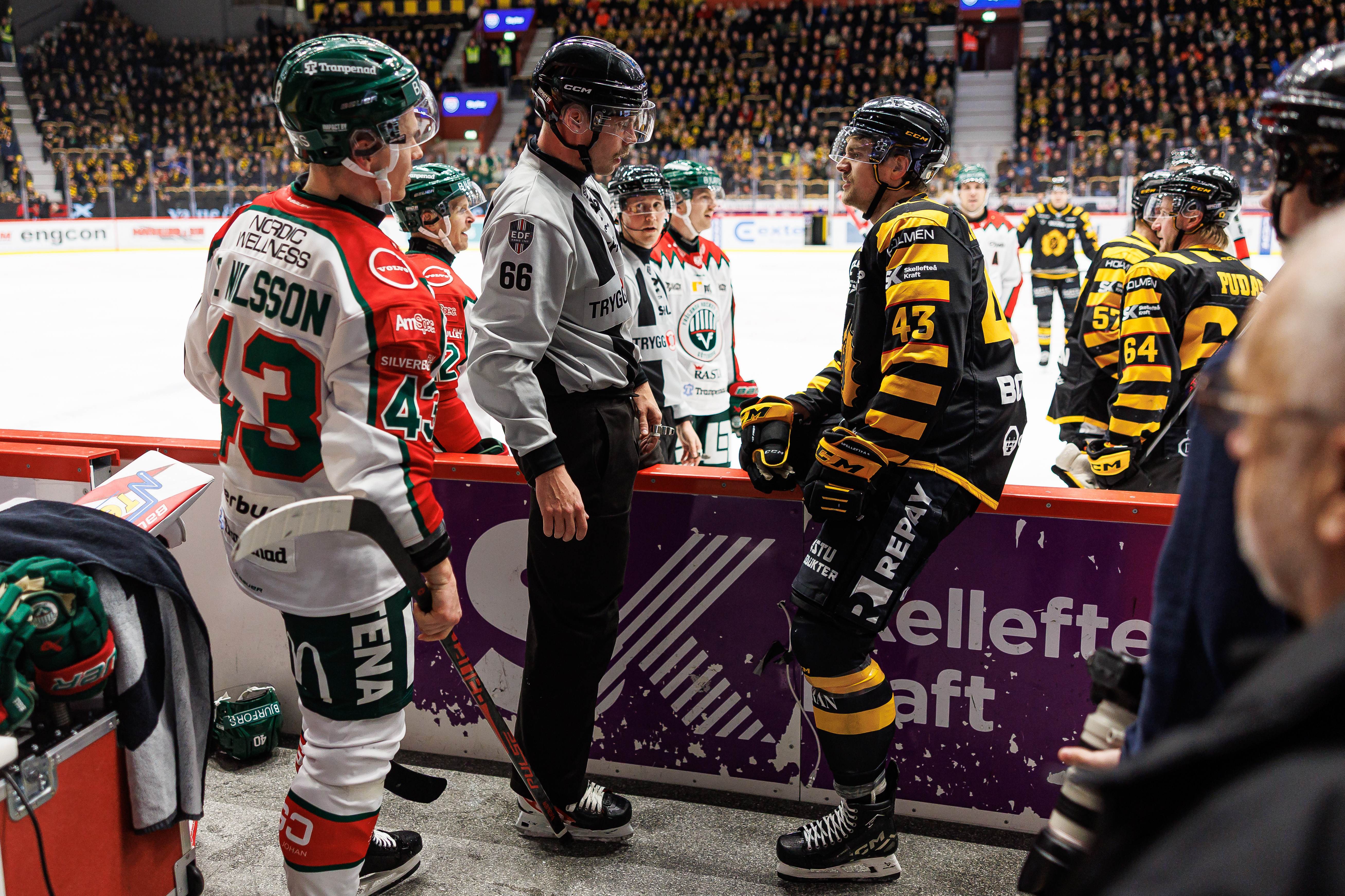 Skellefteå-Frölunda - stjärnorna som vann matchen i matchen