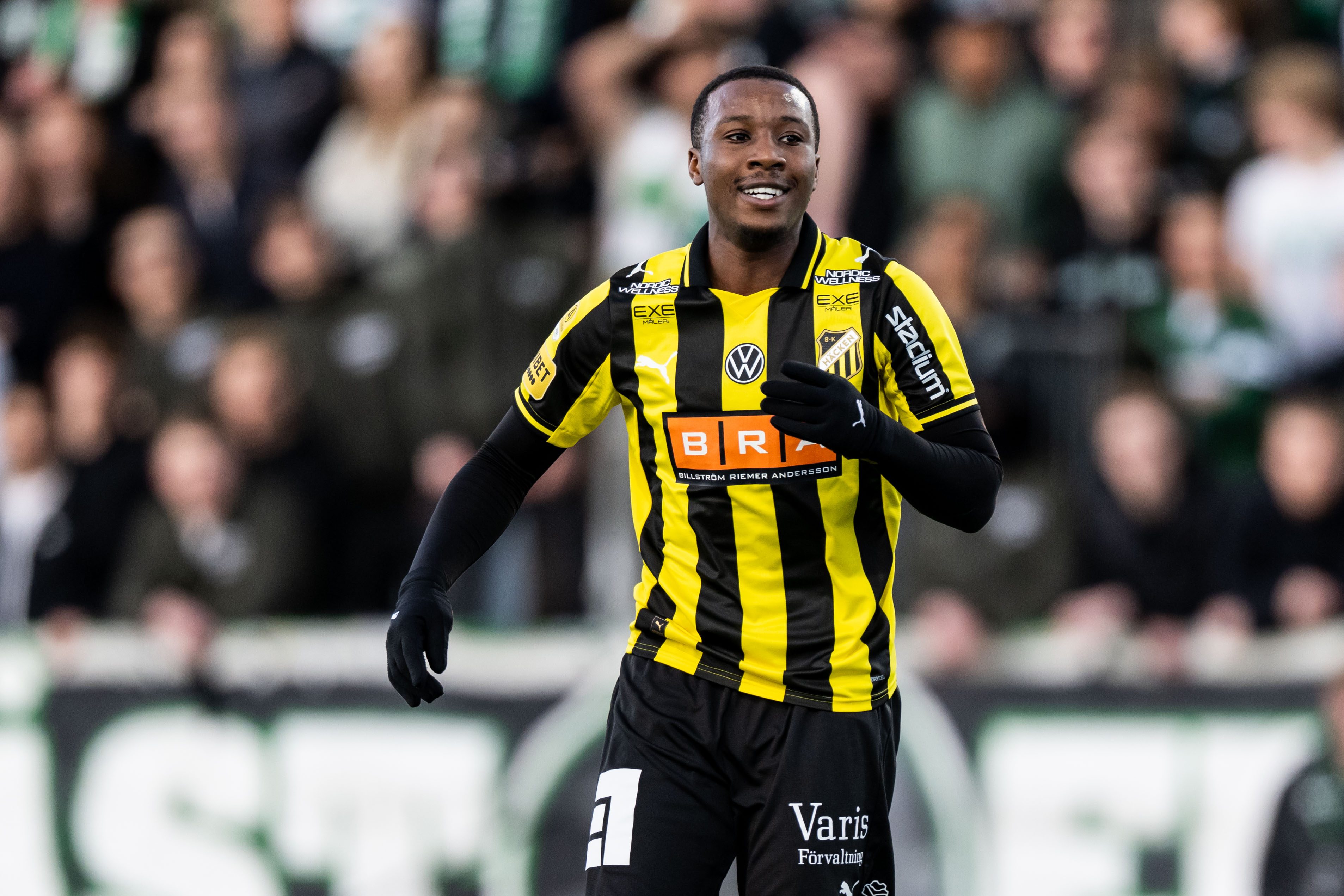 Allsvenskan i fokus