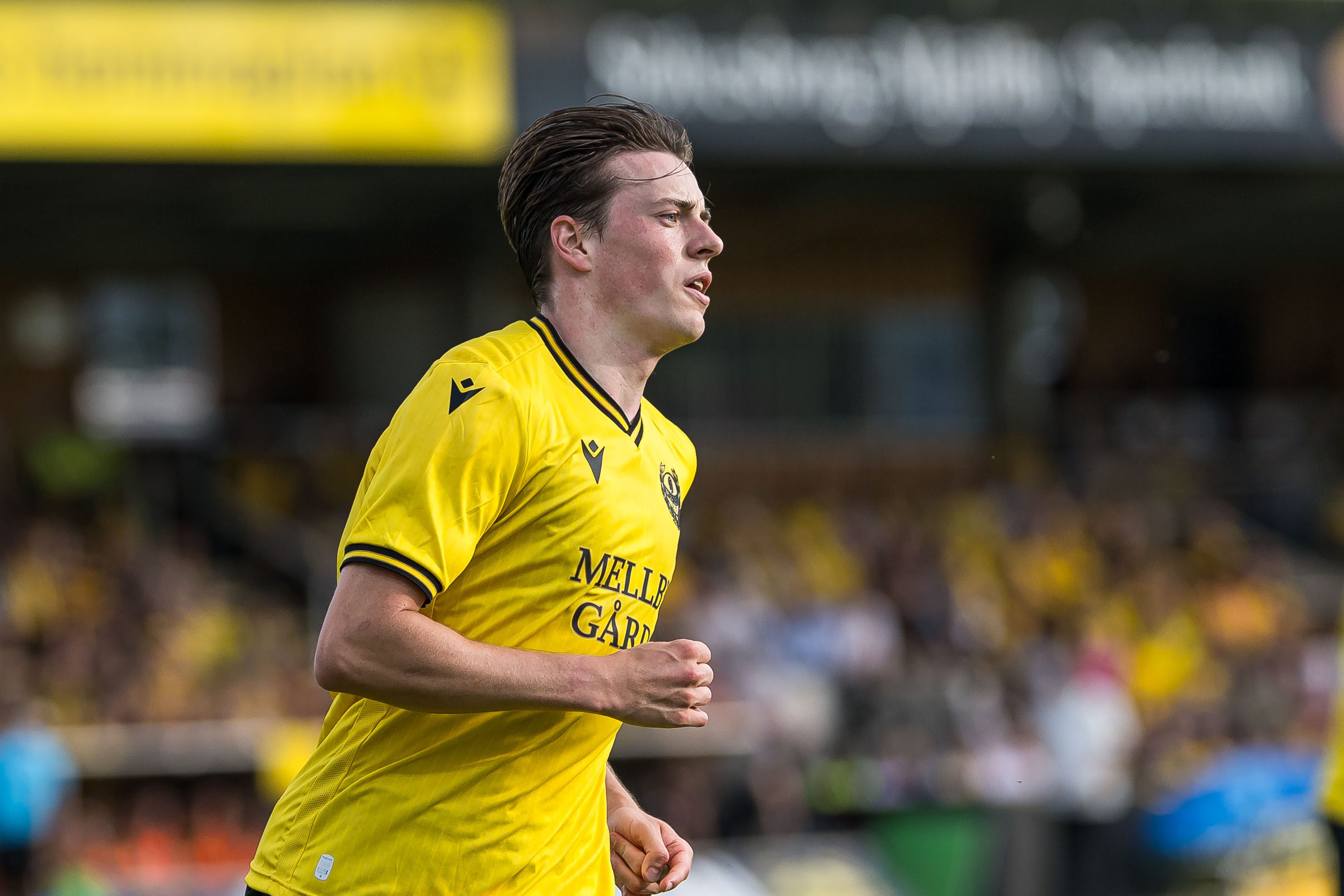 Allsvenskan i fokus