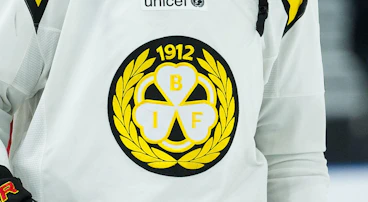 Brynaestroeja