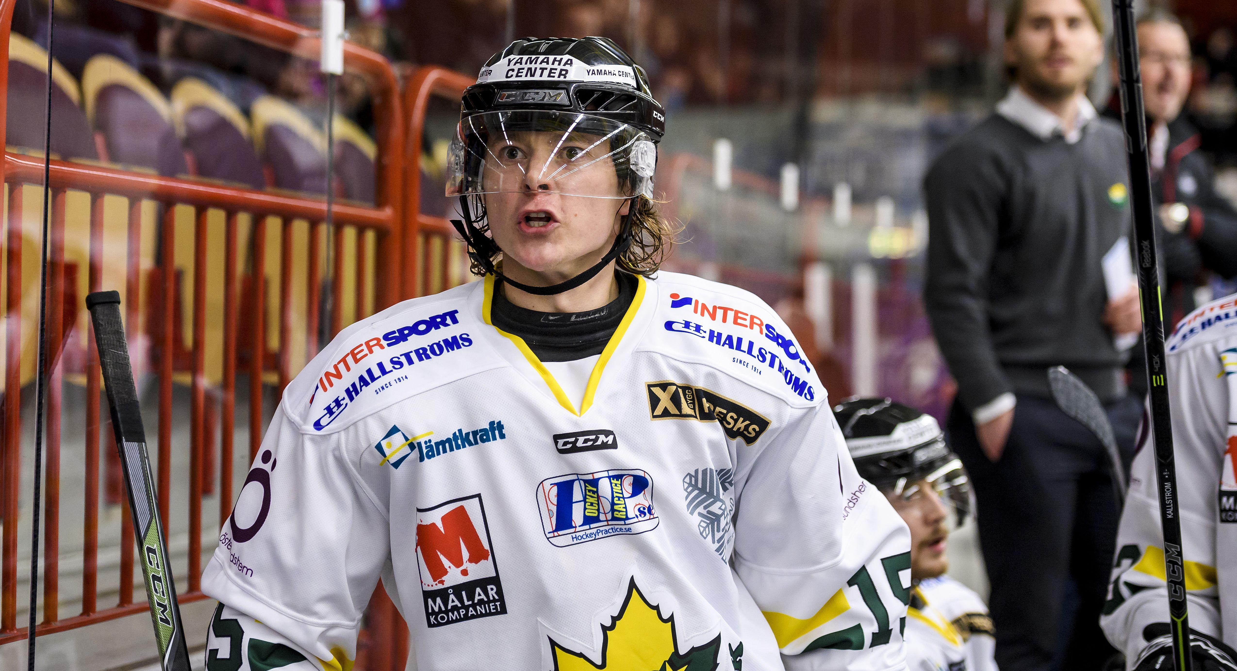 Dragskott rankar de tio tyngsta spelarförlusterna inför Hockeyettan 2017/2018 - plats 6-10