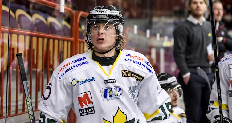 Dragskott rankar de tio tyngsta spelarförlusterna inför Hockeyettan 2017/2018 - plats 6-10