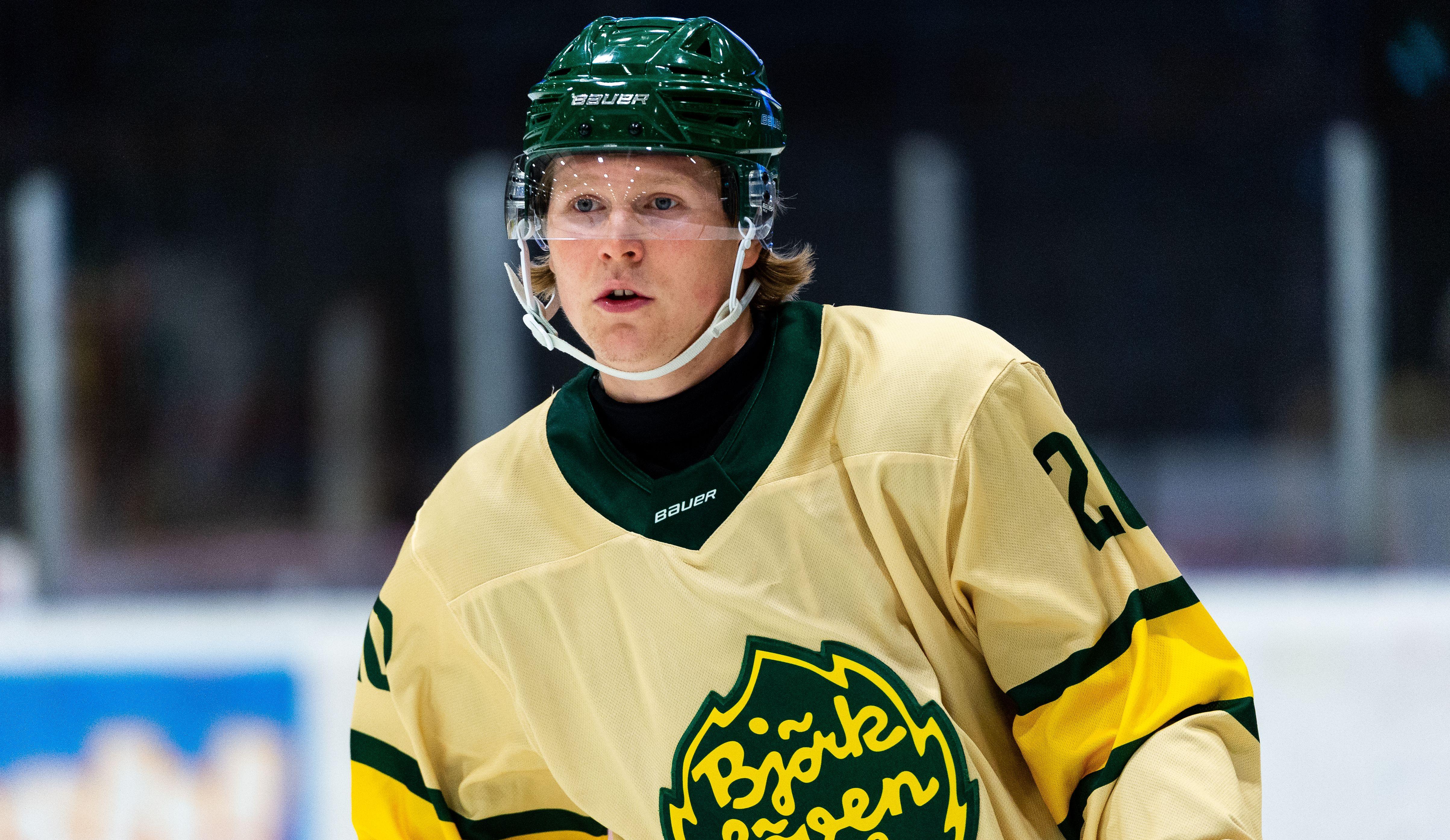 Björklöven-produkten tillbaka i HockeyAllsvenskan