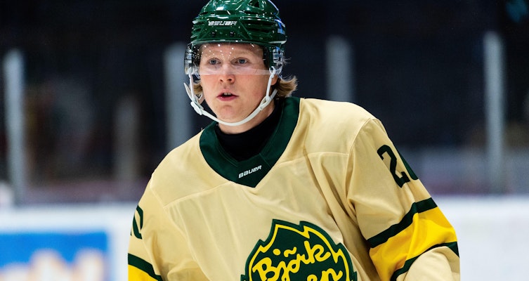 Björklöven-produkten tillbaka i HockeyAllsvenskan