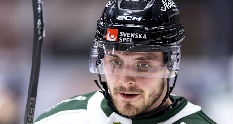 Värvar från HockeyAllsvenskan-nykomlingarna