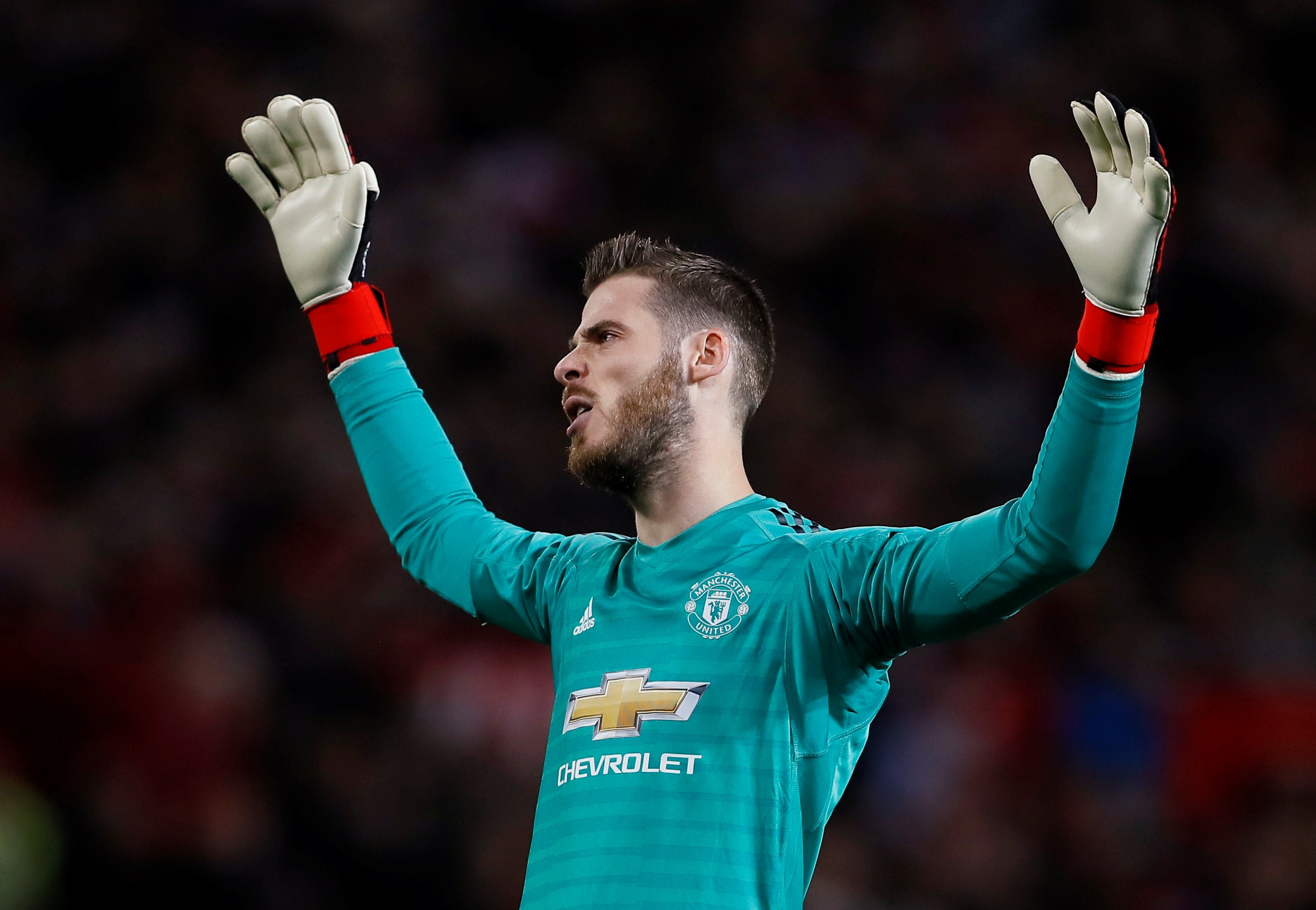 David De Gea förlänger med Manchester United