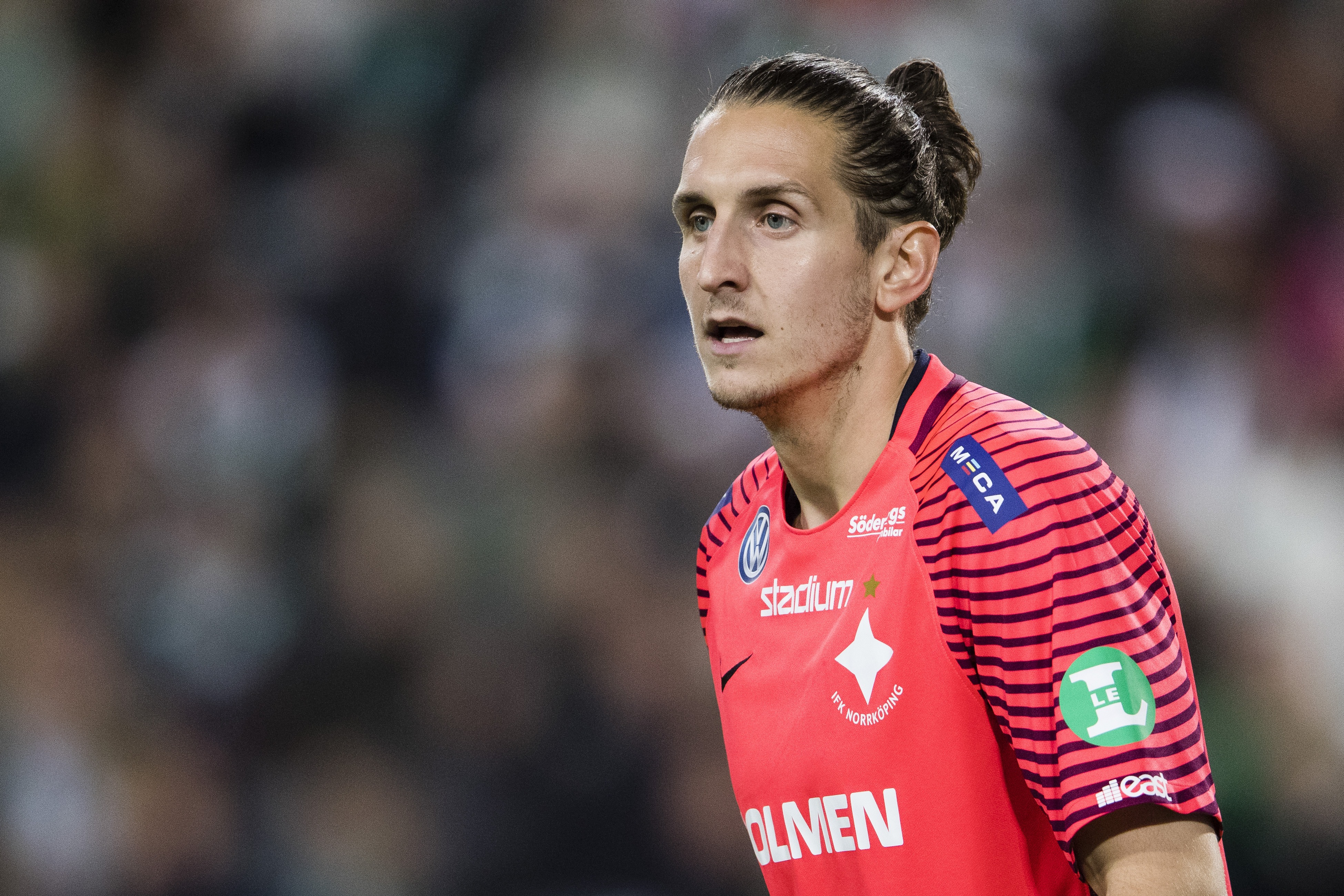 Framsteg för David Mitov Nilsson