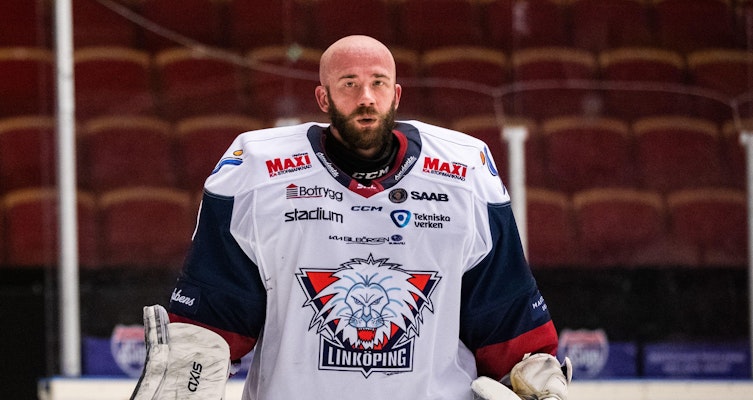 David Rautio har skrivit på ett korttidskontrakt med SHL-klubben