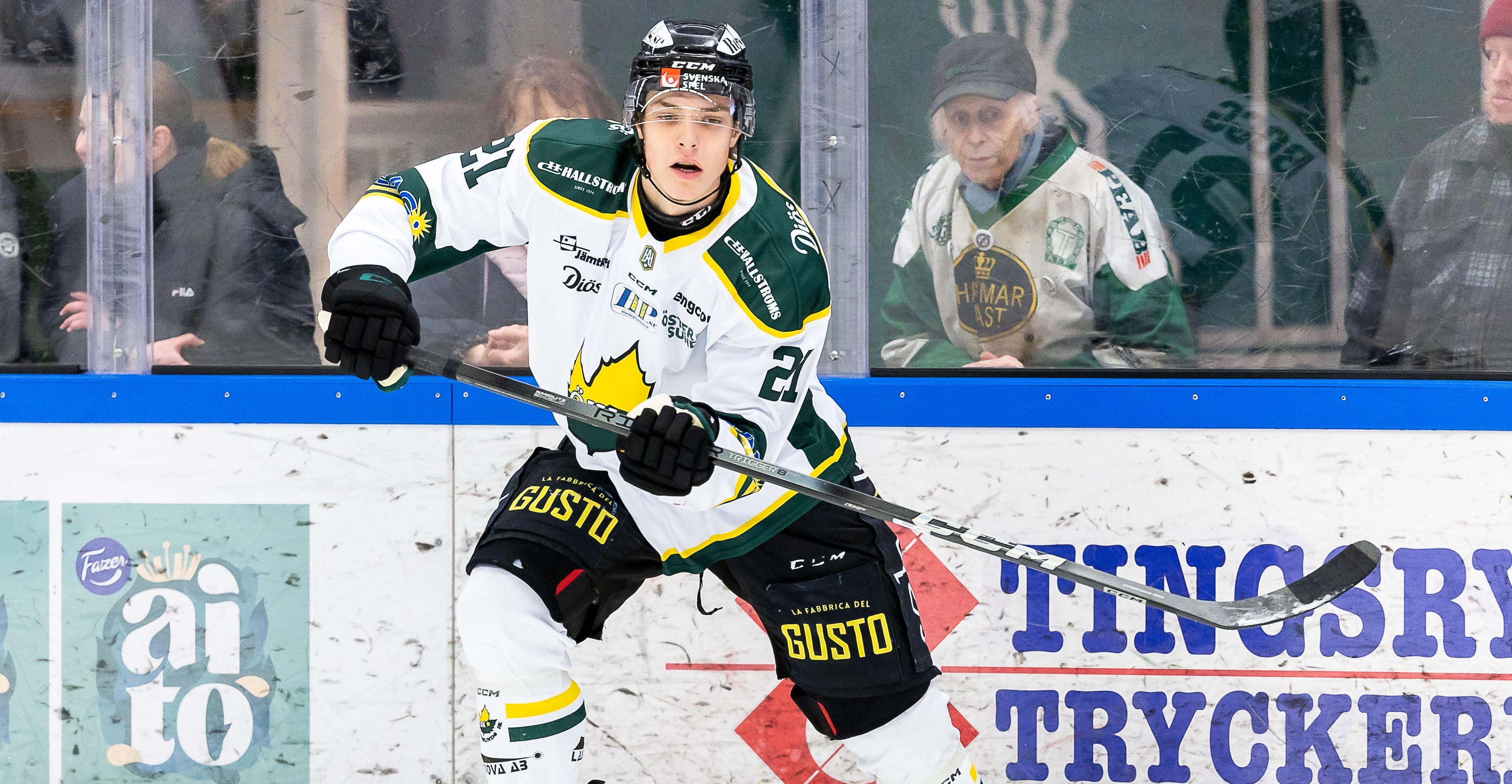 Den NHL-draftade backen förstärker Hockeyettan-topplaget