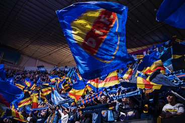 Djurgarden hockey supportrar