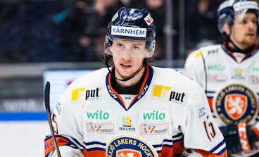 Dominik Bokk