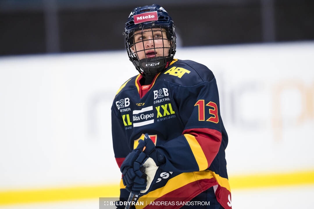 SDHL: INTERVIEW- Dominique Kremer (DIF) - the most hard working people I've ever met
