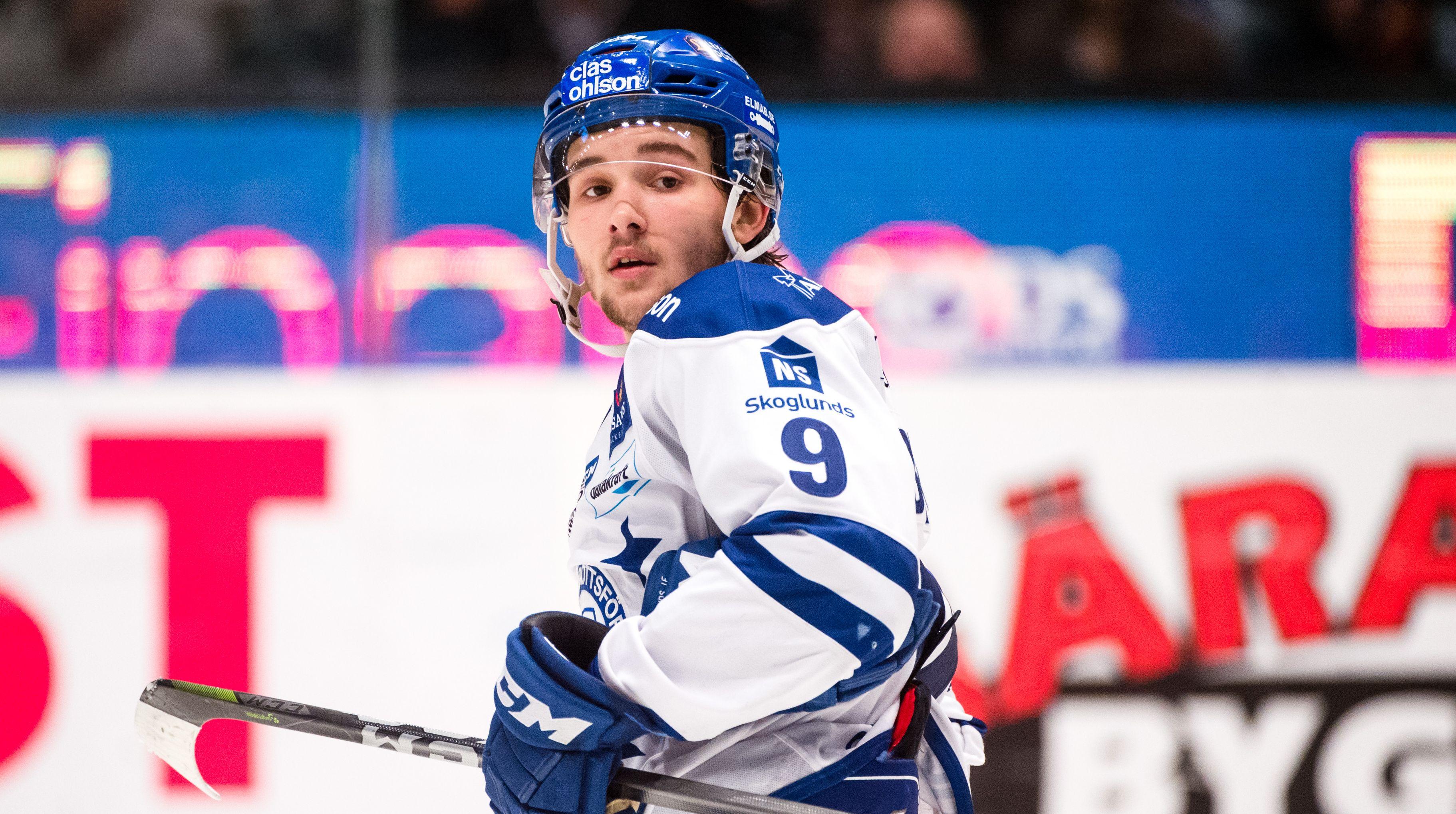 SHL - November Review- Djurgården