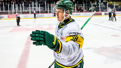 Erik Andersson Bjorkloven FOTO Suvad Mrkonjic